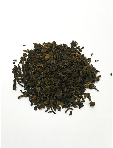 copy of PUER MALAWI. TÉ...