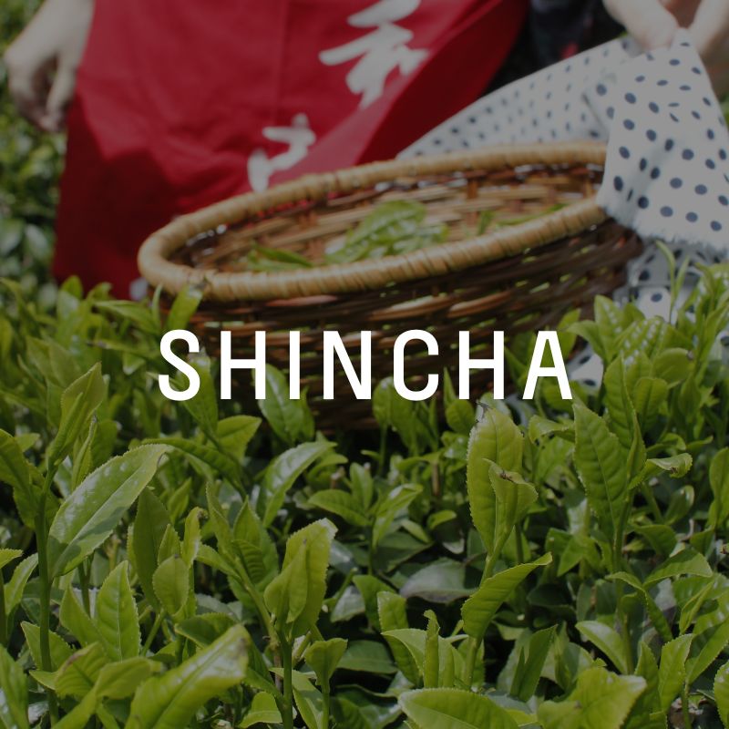 Comprar Sincha. Té verde de Primera Cosecha Shincha