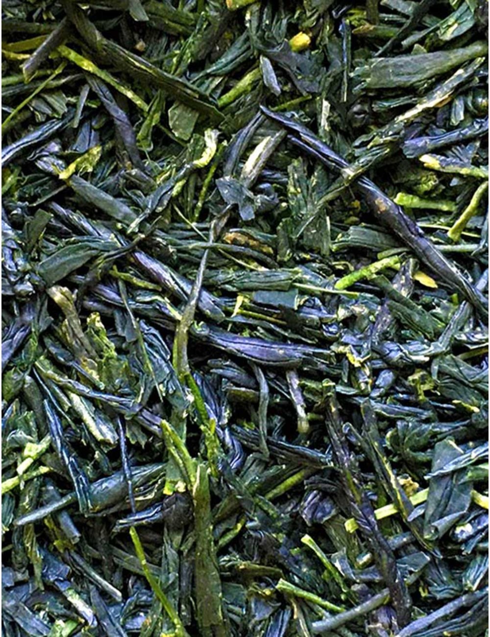 GYOKURO
